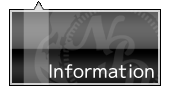 Information