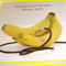 「NPDisc-BEST-」POP