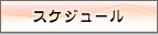�X�P�W���[��