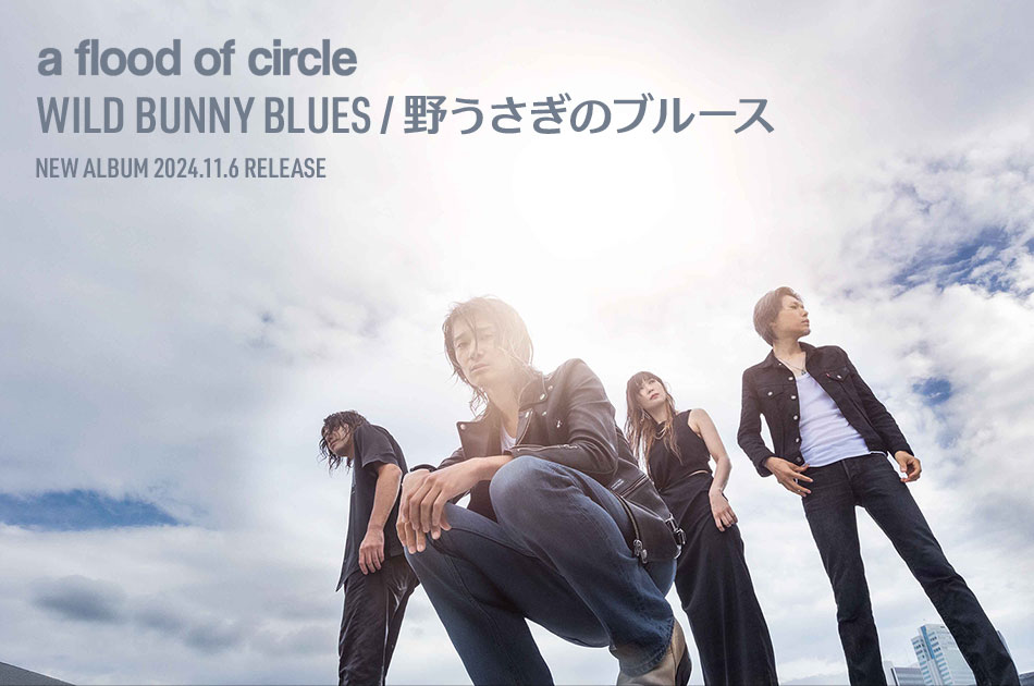 a flood of circle ゴールドディガーズ　CD+Blu-ray　未