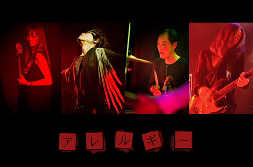 アレルギー アーティスト写真