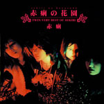 �W���P�b�g�ʐ^