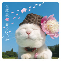 春うららか ジャケット写真
