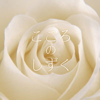 こころのしずく ジャケット写真