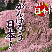 オムニバス「やっぱり日本！がんばろう日本！」 ジャケット写真