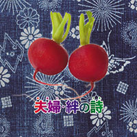 オムニバス「夫婦（めおと）・絆の詩（うた）」 ジャケット写真