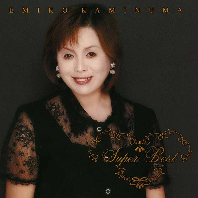 沼沼子ページ 梅谷商事さん #梅谷商事 #日野自動車 #ライジングレンジャー