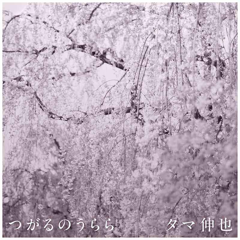 ジャケット写真